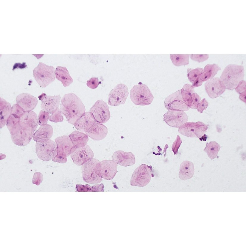 Připravené preparáty - vysoká kvalita a čistota - sada 10ks