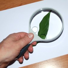 Lupa 3in1 100mm / 2x, 3x, 4x