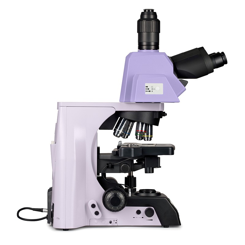 Magus Bio 290T LED - Plan Infinity