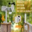 Meteostanice BRESSER 5in1 WiFi - barevný displej (černá)
