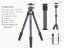 Leofoto - karbonový stativ Ranger LS-254 + kulová hlava LH-30 (8kg/128cm)