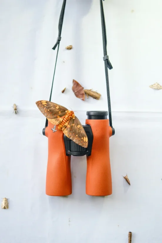 Swarovski NL Pure 12x42 (cihlově oranžový)