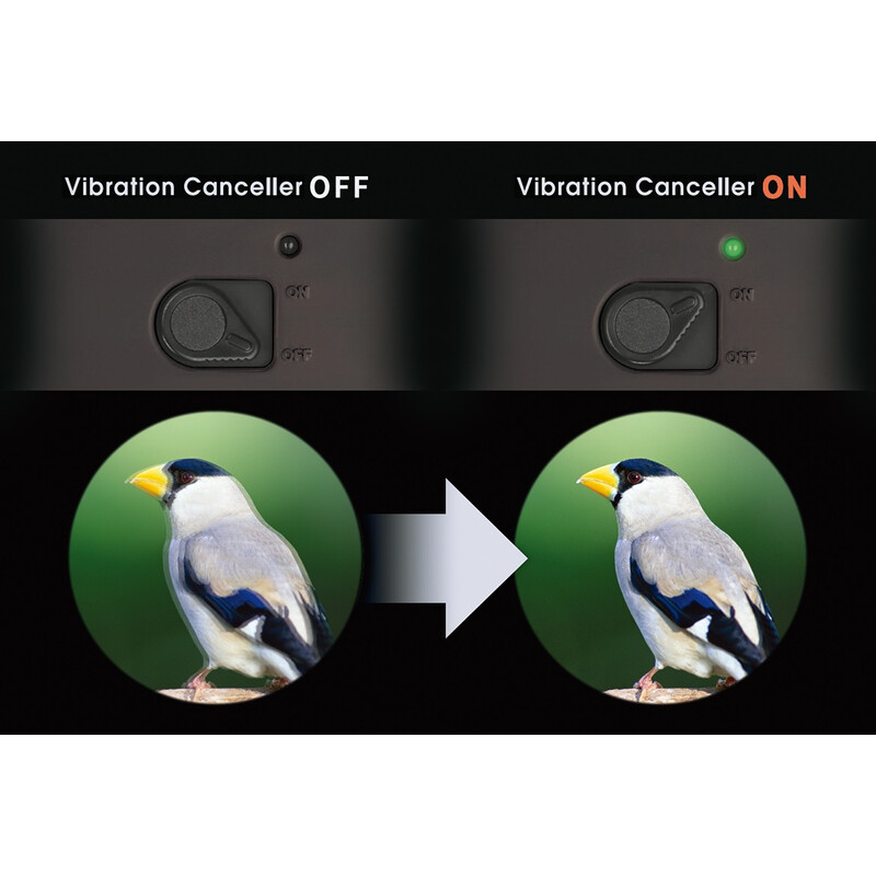 Vixen ATERA II ED H 16x50 - stabilizátor