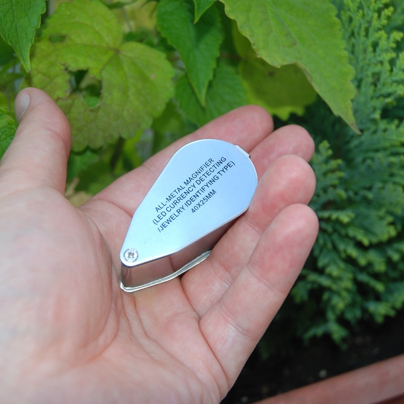 Levenhuk ZenoGem M11- lupa 40x25mm LED