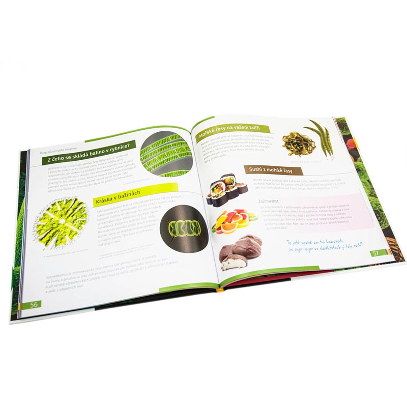 Neviditelný svět | Oksana Mazurová - měkká vazba