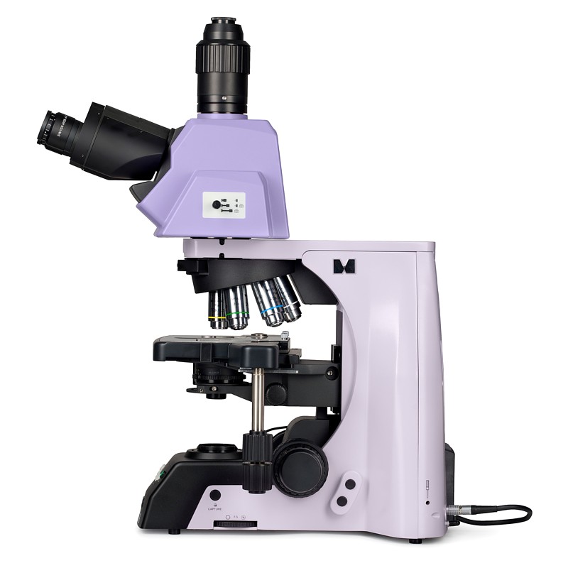 Magus Bio 290T LED - Plan Infinity