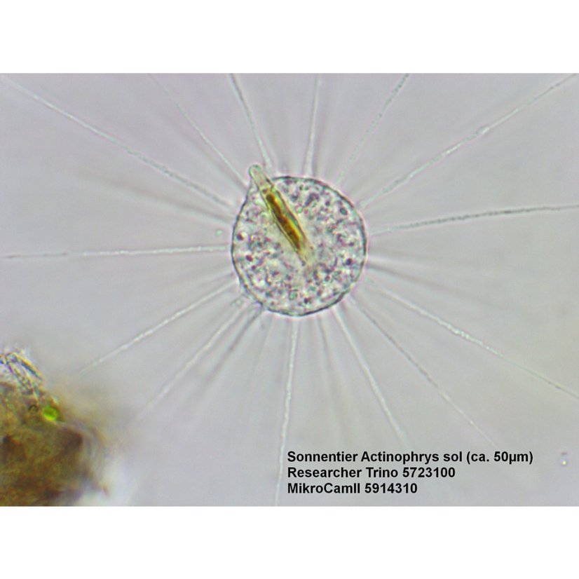 Mikroskopy Bresser Researcher 40-1000x BINO