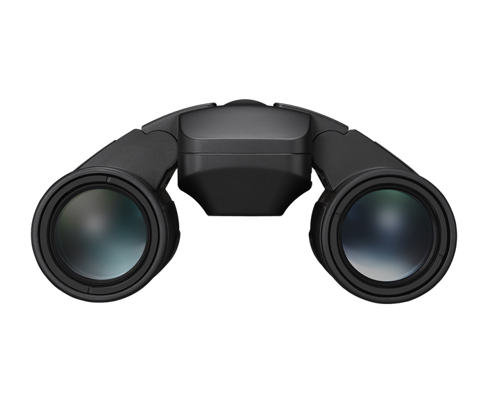 Nikon Stabilized 12x25 S
