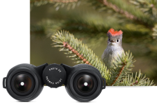 Leica Trinovid HD 8x42