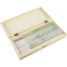 Sada připravených preparátů - 40ks v dřevěném boxu