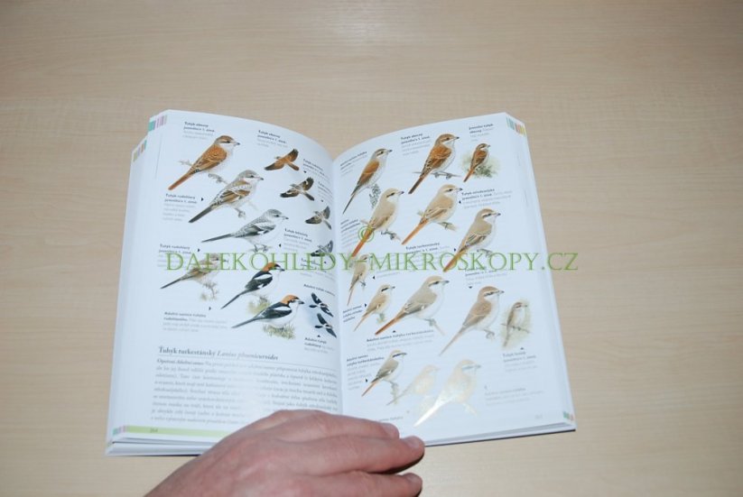 Příručka k určování ptáků | Vinicombe Keith, Harris Alan, Tuckerová Laurel