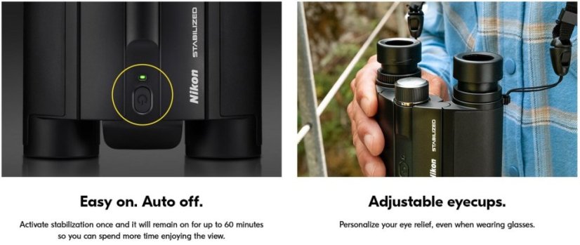 Nikon Stabilized 12x25 S