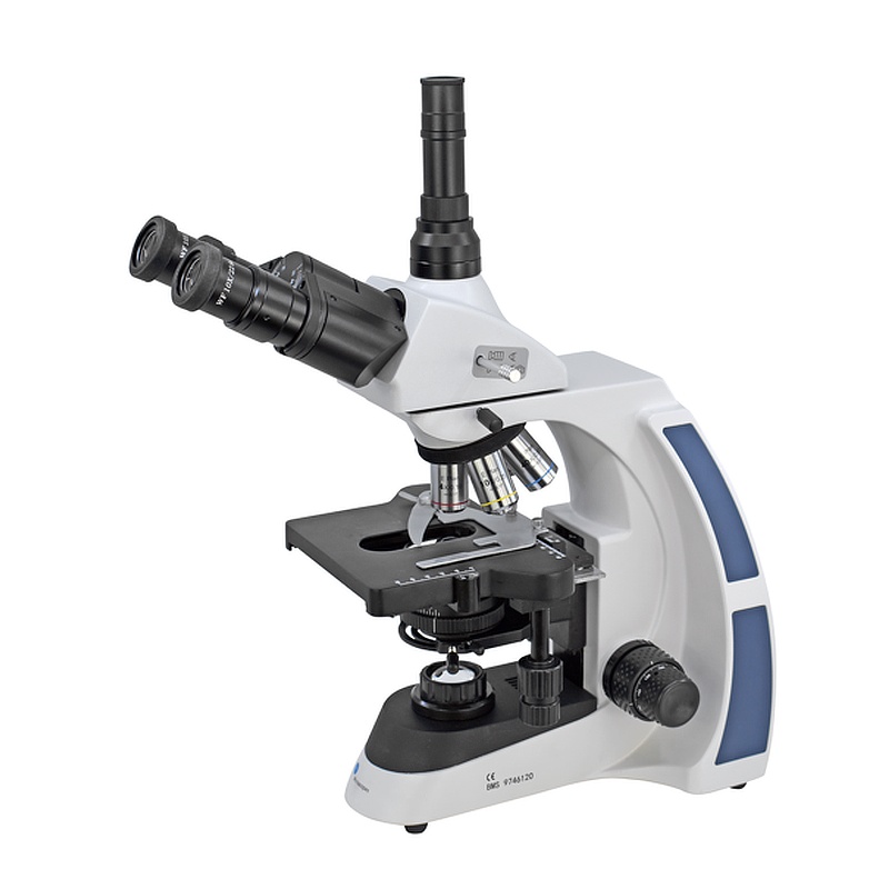 BMS D3-223P ~1000x TRINO HR Plan Infinity