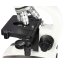 Omegon Bio Mon LED 40x-1000x
