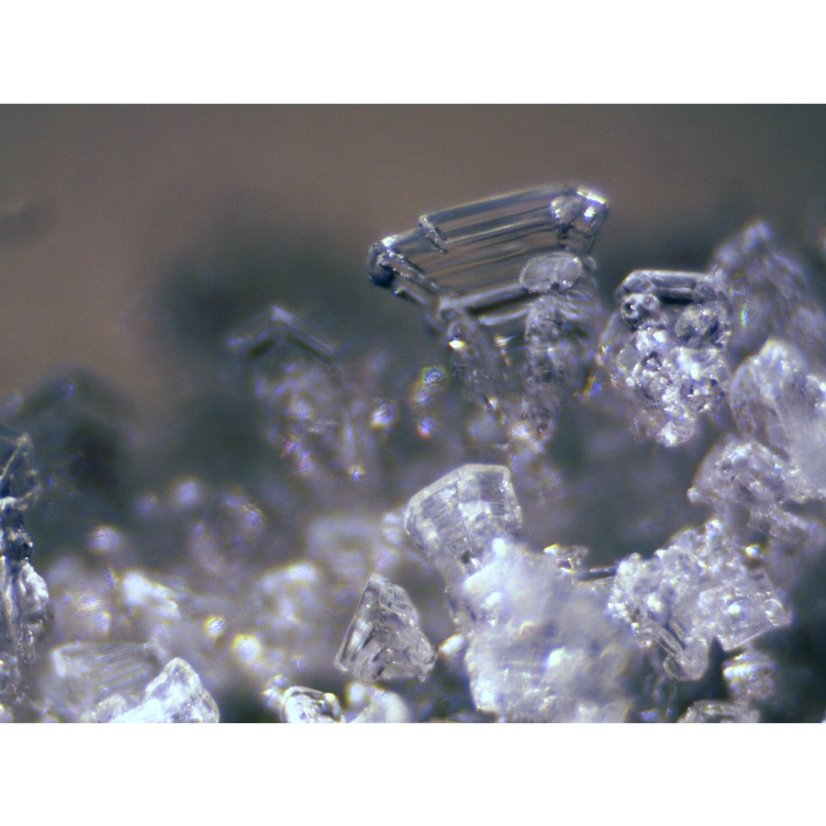 Mikroskop Bresser Erudit Basic ICD 20x, 40x LED