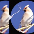 Se stabilizátorem obrazu