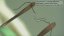 Mikroskop Bresser Researcher ICD 20x/40x/80x