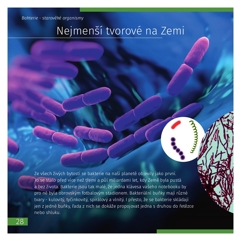 Neviditelný svět | Oksana Mazurová - měkká vazba