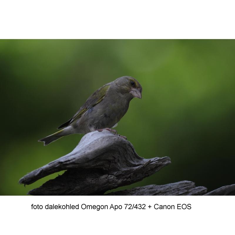 Omegon Pro Apo refraktor - PhotoScope 72/432 ED OTA