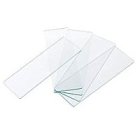 Sklíčka podložní