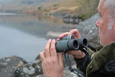 Kowa BDII-XD 8x42