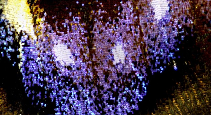 Bresser Science ETD-301 7-63x Trino Zoom Stereo mikroskop