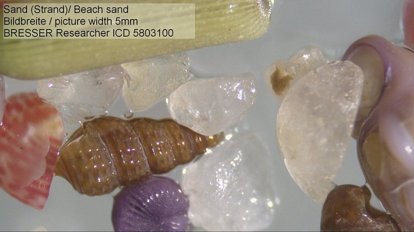 Mikroskop Bresser Researcher ICD 20x/40x/80x