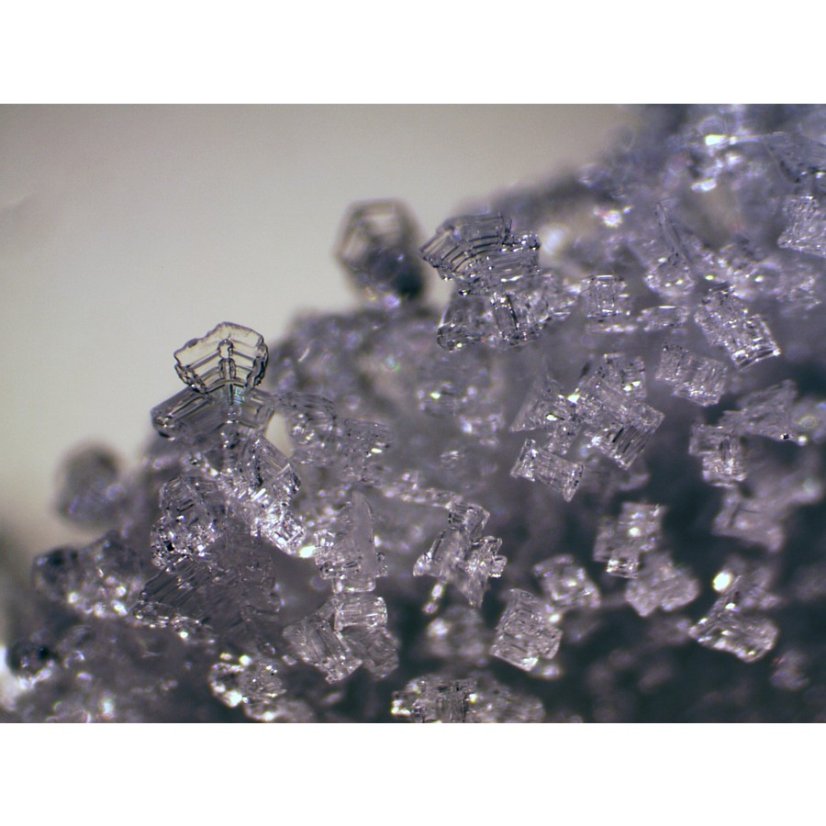 Mikroskop Bresser Erudit Basic ICD 20x, 40x LED