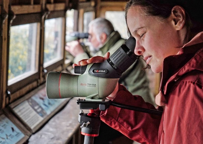 Kowa TSN-55S Prominar 17-40x55 (přímý)