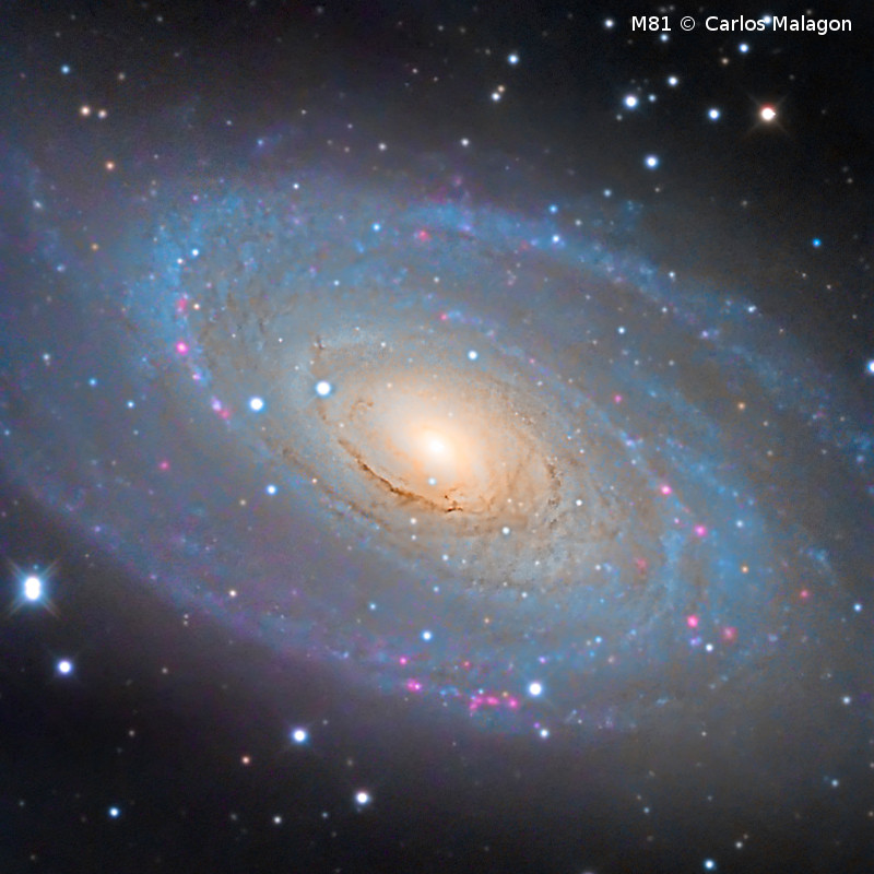 Omegon Ritchey-Chretien Pro RC 10" f/8 (254/2000mm) OTA