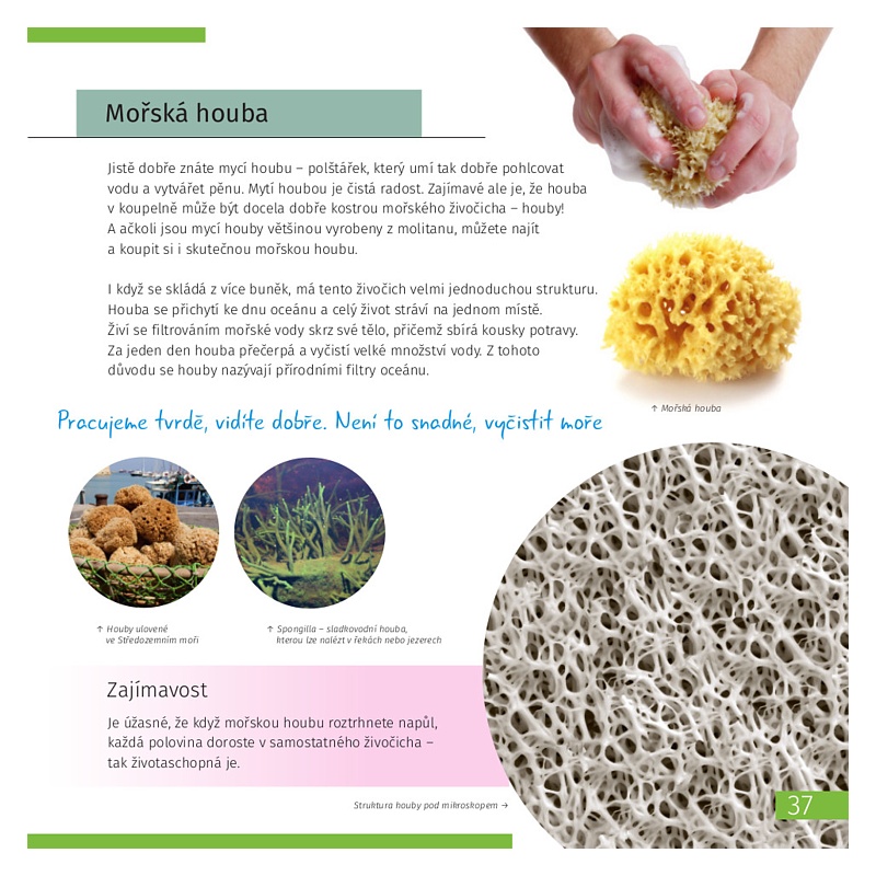 Neviditelný svět | Oksana Mazurová - měkká vazba