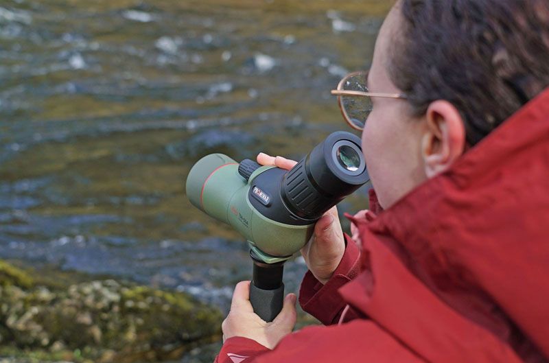 Kowa TSN-55S Prominar 17-40x55 (přímý)